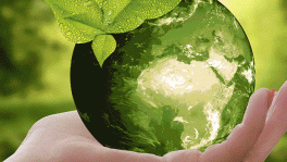 Umweltschutz Seminare und Weiterbildungen