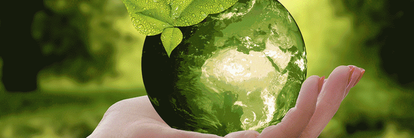 Umweltschutz Seminare und Weiterbildungen