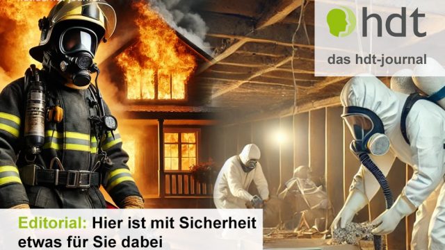 hdt-journal_Editorial_November_2024