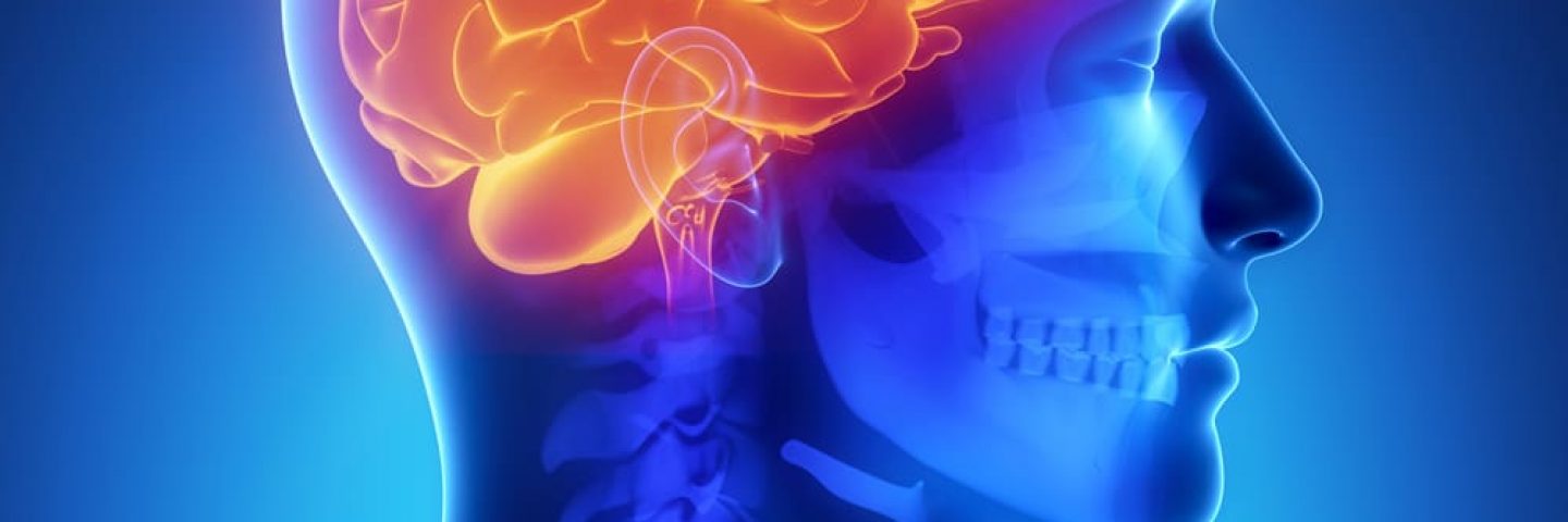 Bachelor-Studiengang Medizinische Radiologietechnologie